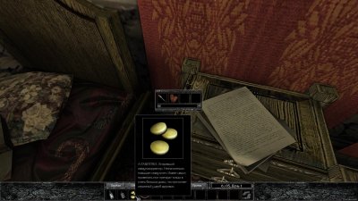 ��� ������ ��������