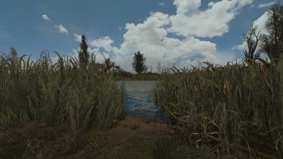 ������� �������� ������� 2016 OGSR Engine